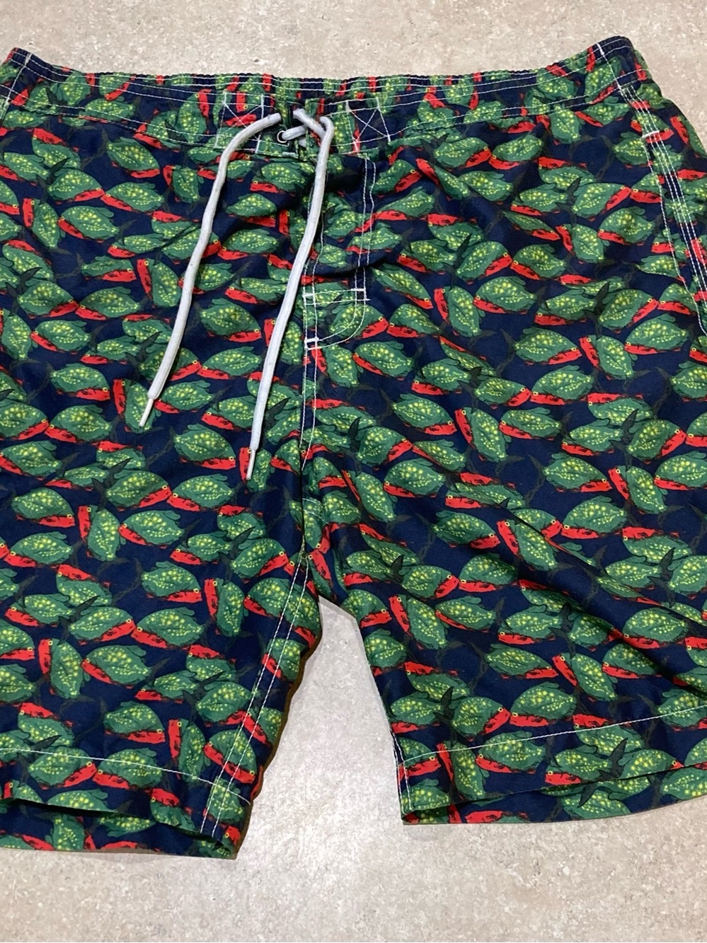 Men's Navy Swim Trunks with Red & Green Leaf Print CHAPS